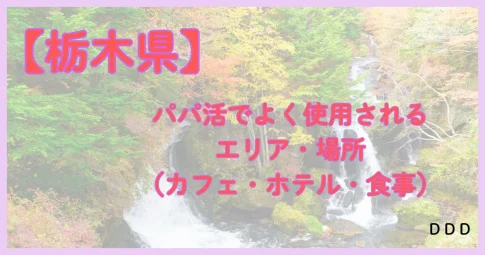 栃木　パパ活　アイキャッチ